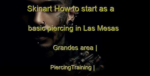 Skinart How to start as a basic piercing in Las Mesas Grandes area | PiercingTraining | PiercingClasses | SkinartTraining-Mexico